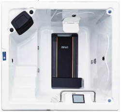 Бассейн с беговой дорожкой Bigeer Верде